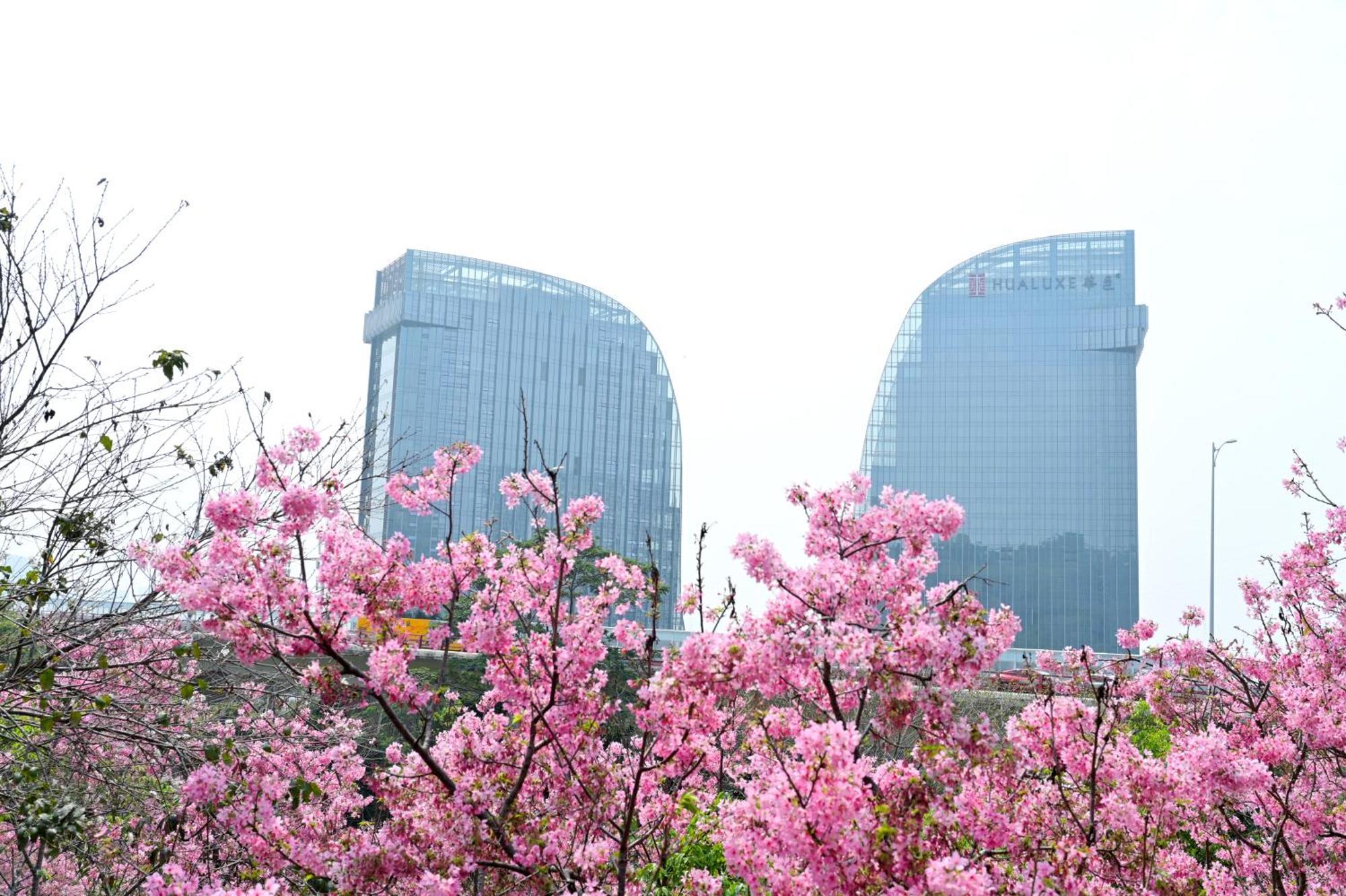 Hualuxe Xiamen Haicang Habour View Zewnętrze zdjęcie